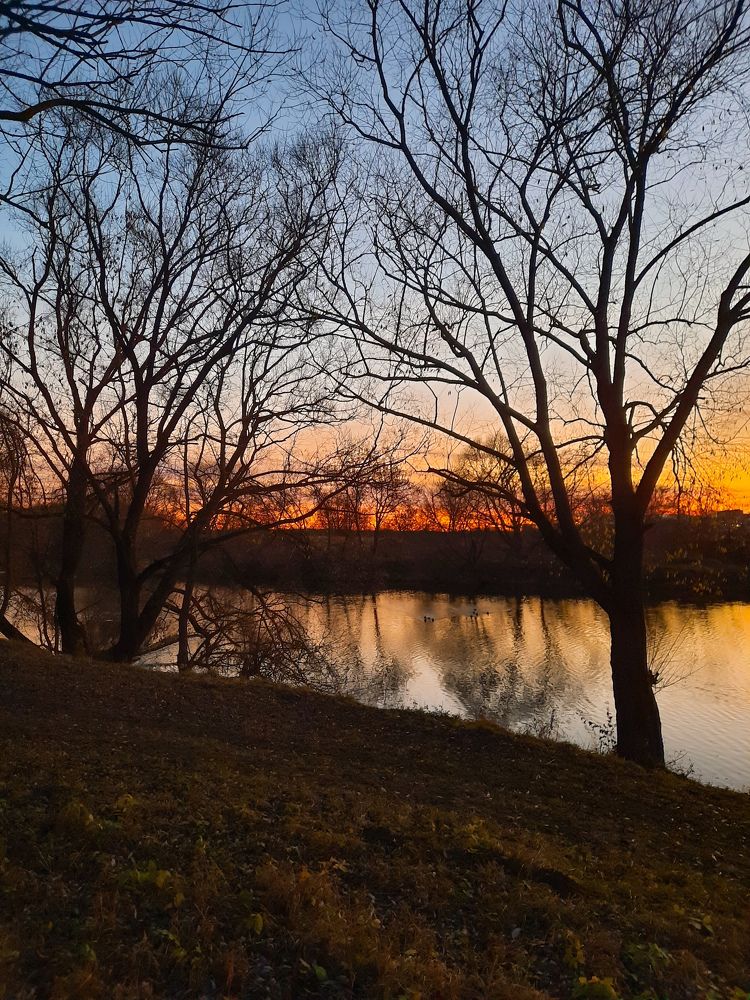 Photograph by Наталья Алехина