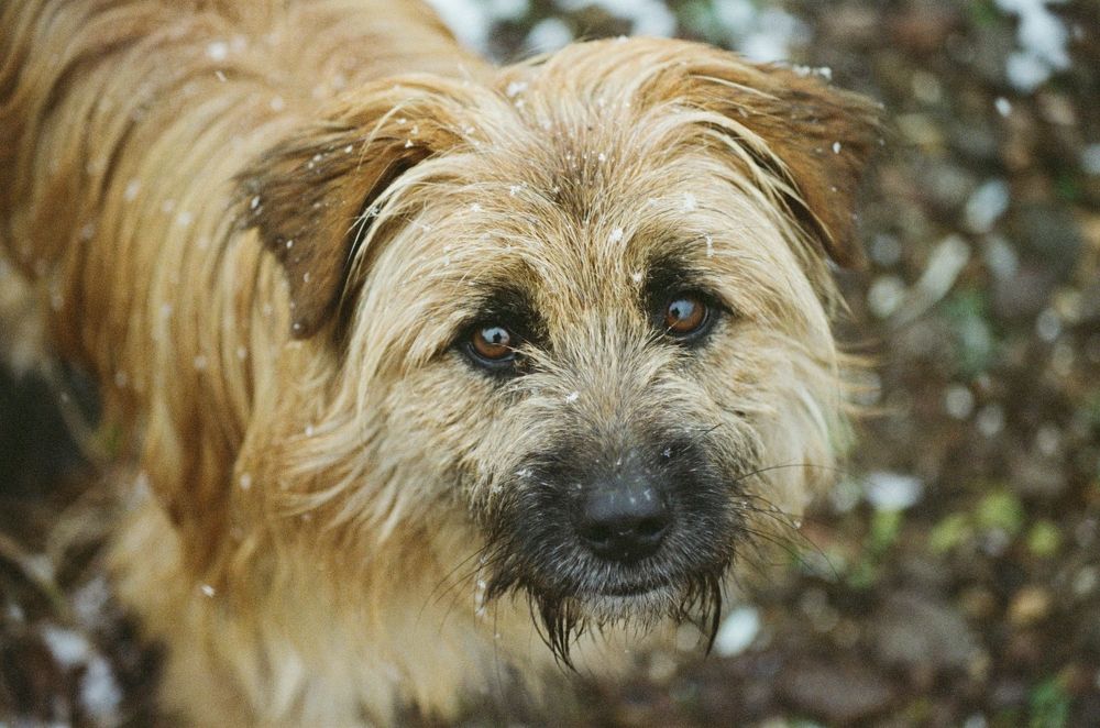 Photograph by Travel Azart