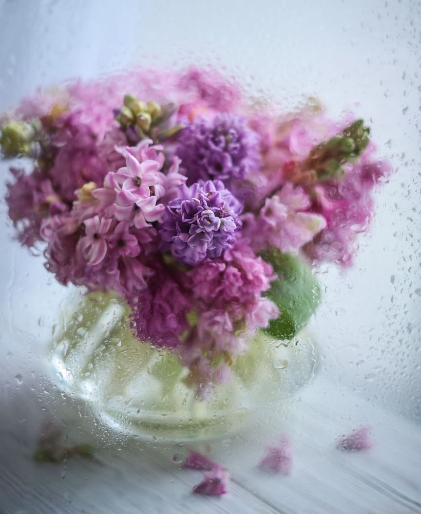 Photograph by Татьяна Кытина