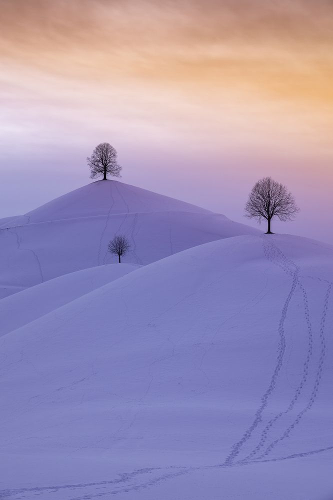 Photograph by Wim Solheim