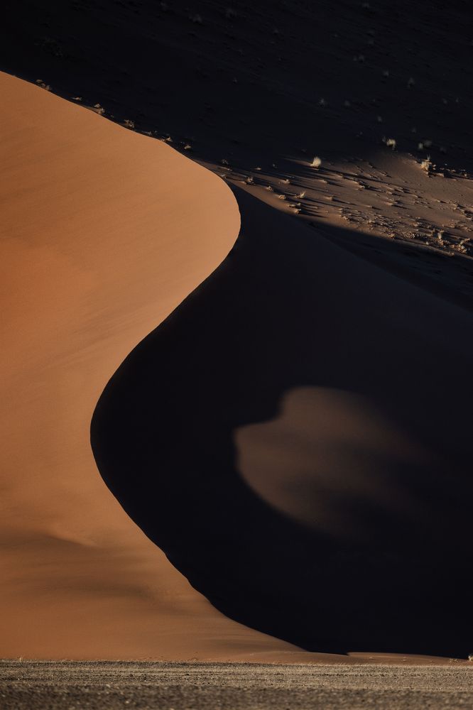 Photograph by Wim Solheim