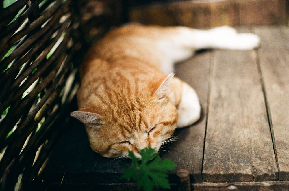 Photograph by Travel Azart