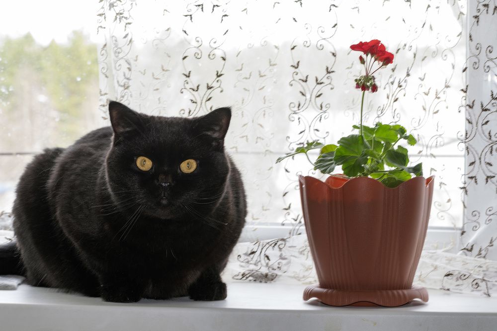 Photograph by Александр Пономарёв