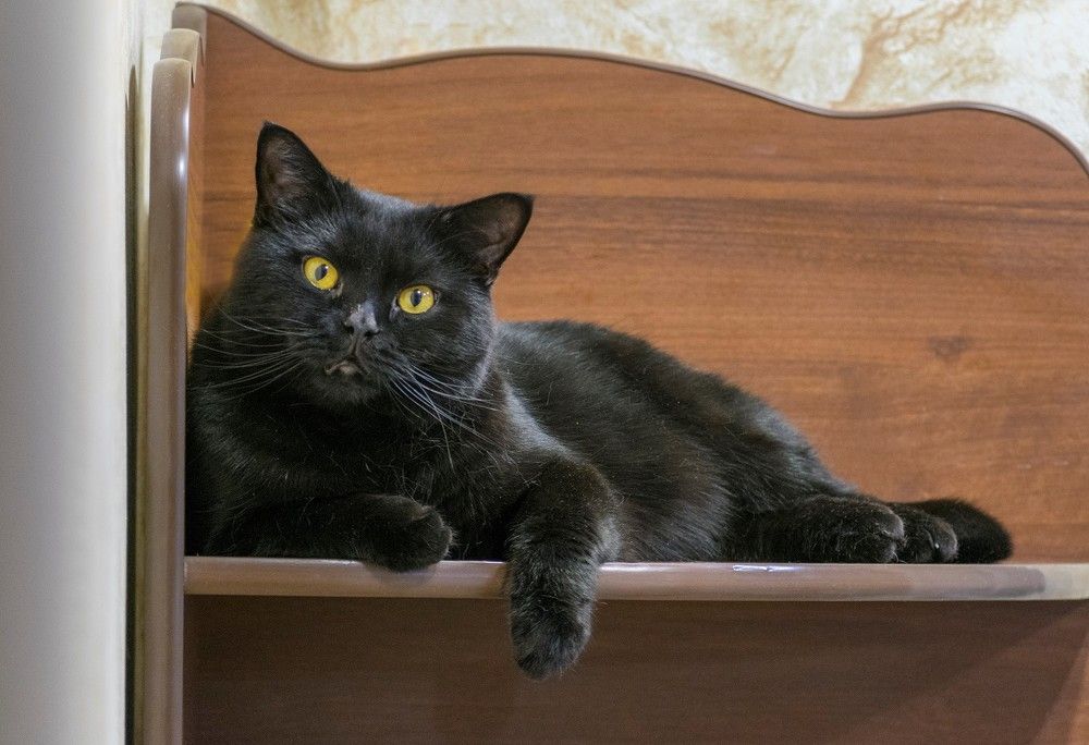 Photograph by Александр Пономарёв