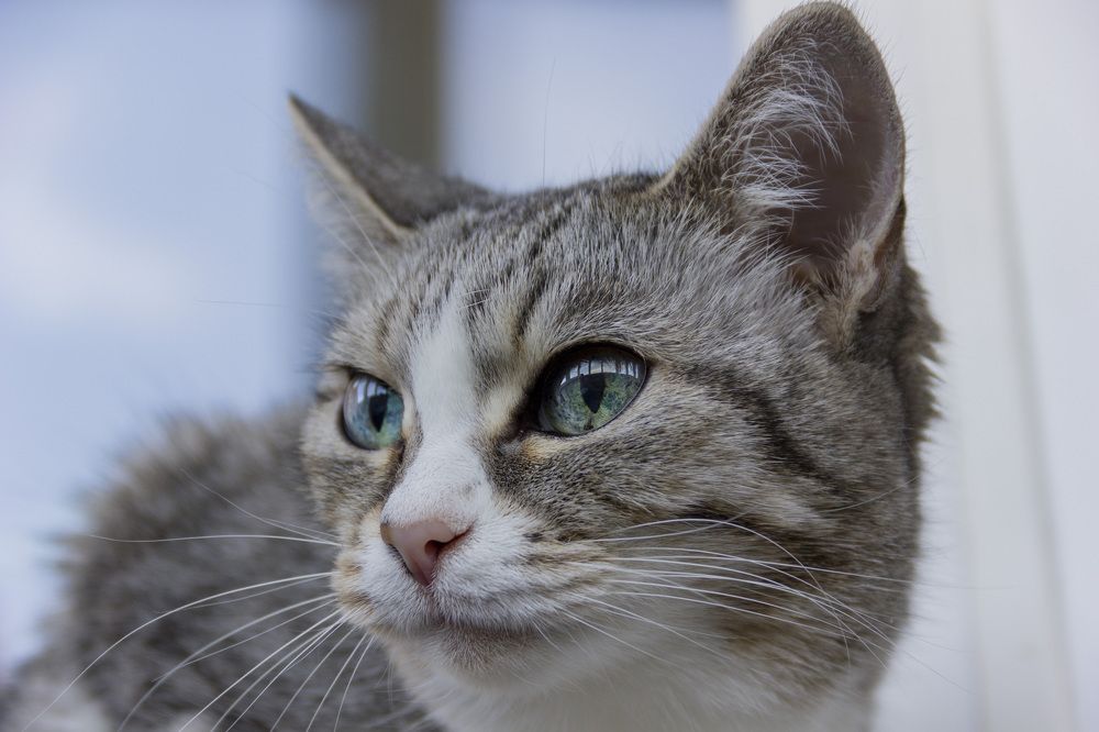 Photograph by Anna Gapanovich