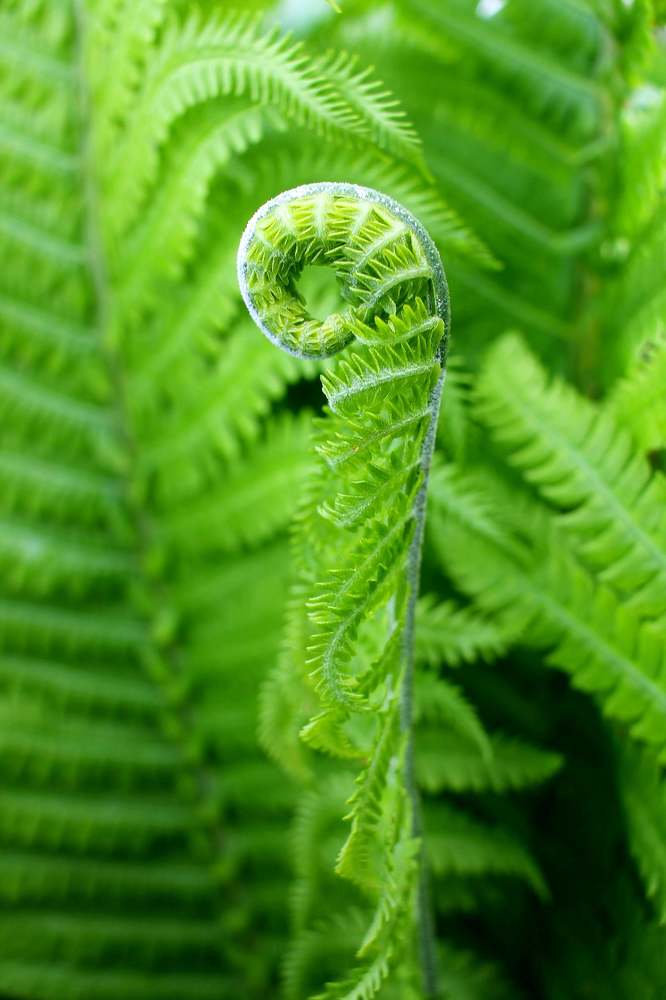 Photograph by Юлия Чванова