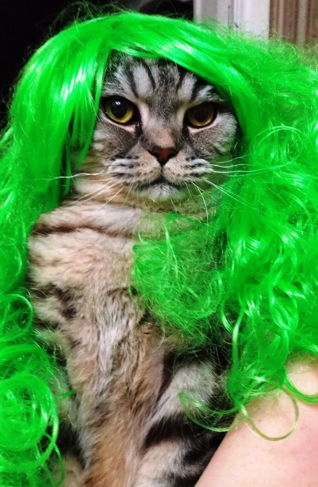 Photograph by Svetlana Victorovna Kibyakova