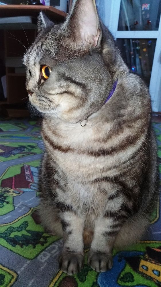 Photograph by Svetlana Victorovna Kibyakova