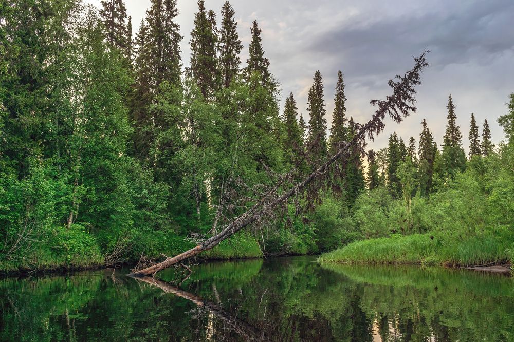 Photograph by Александр Пономарёв