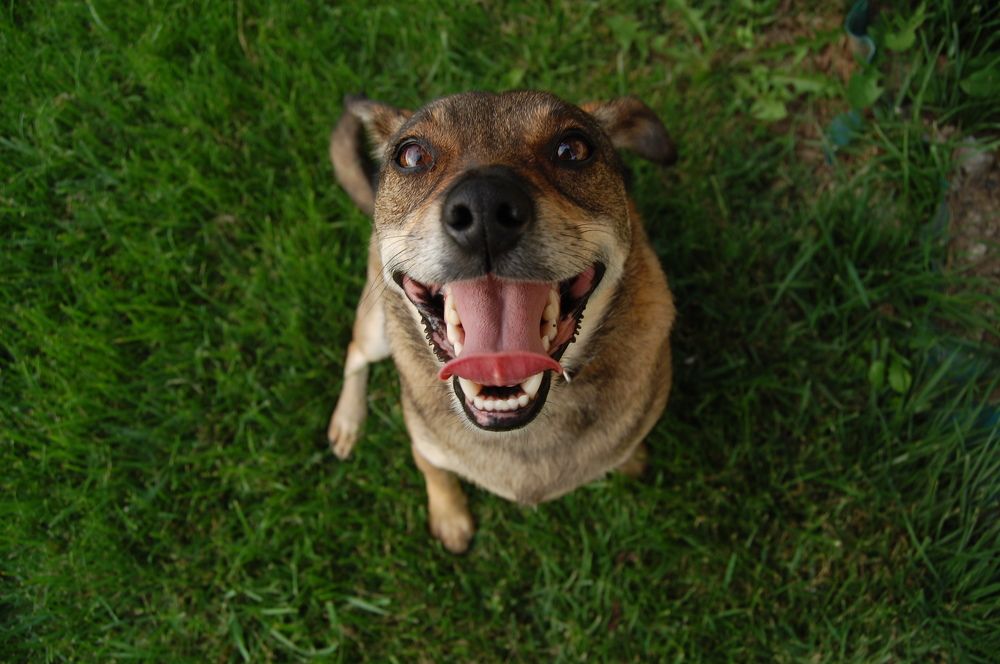 Photograph by Katarína Sabolová