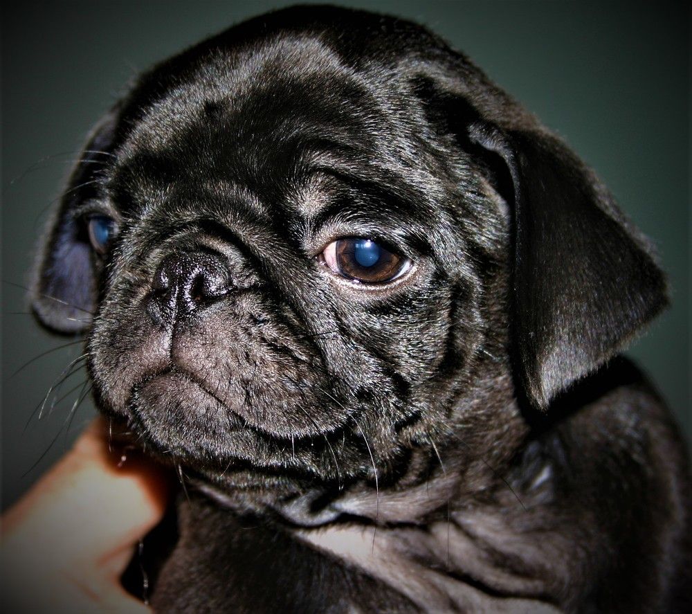 Photograph by Esmaeil Razaghi