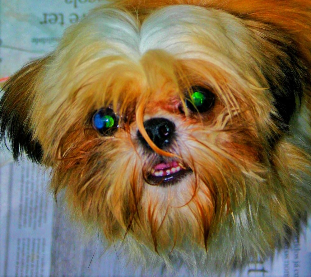 Photograph by Esmaeil Razaghi