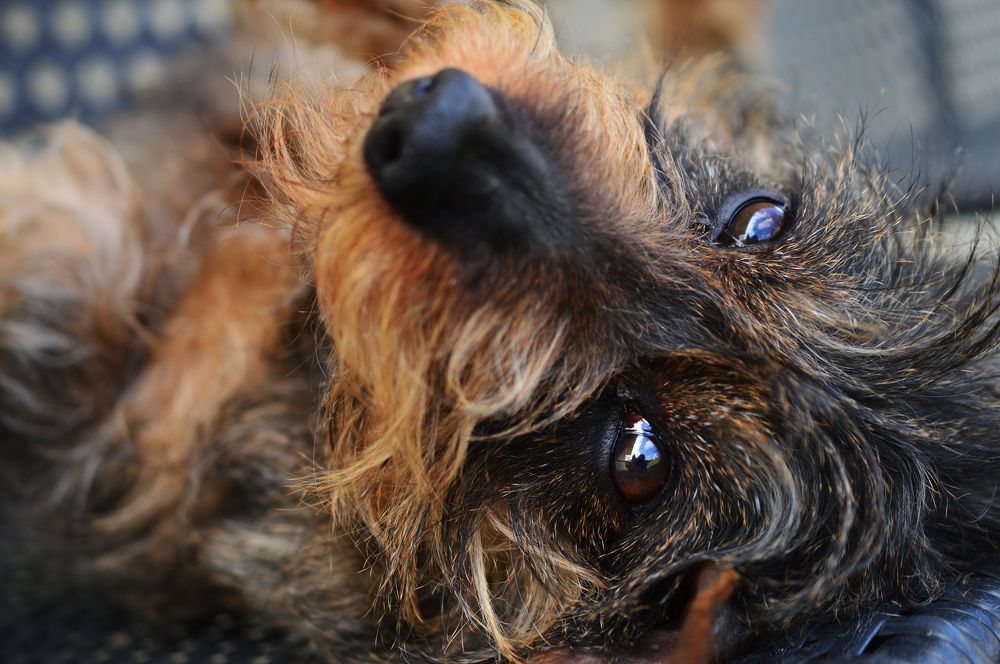 Photograph by Katarína Sabolová