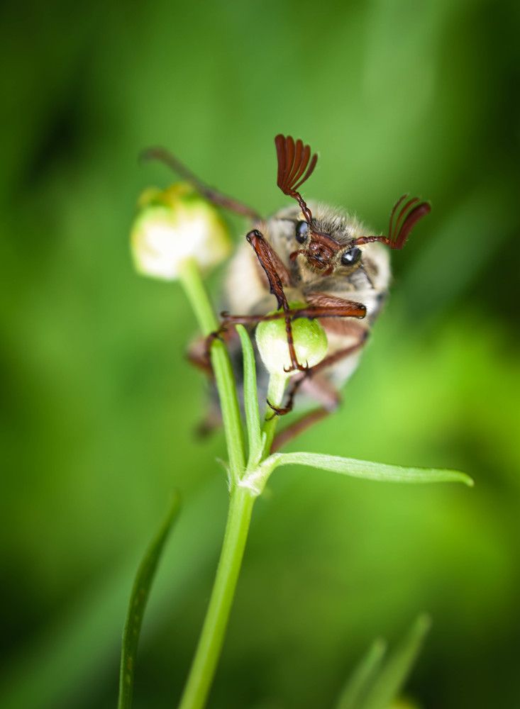 Photograph by Светлана Пронина