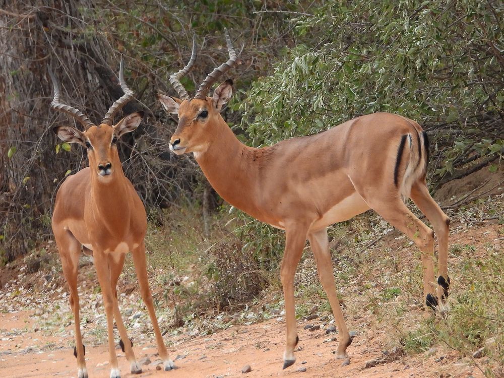 Photograph by Linette Bothma