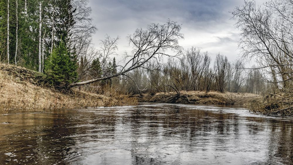 Половодье реки Ыджыд-Каменка