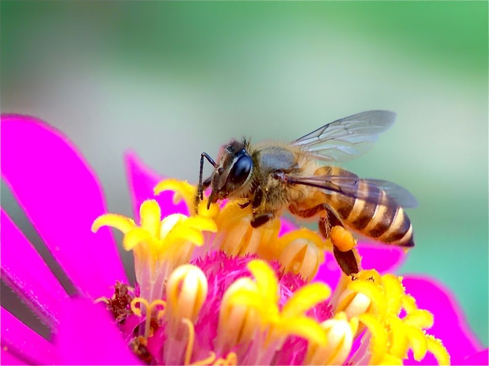 The Beauty of nature