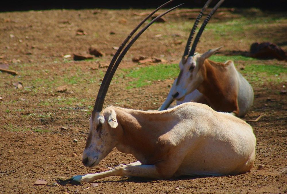 Photograph by Esmaeil Razaghi