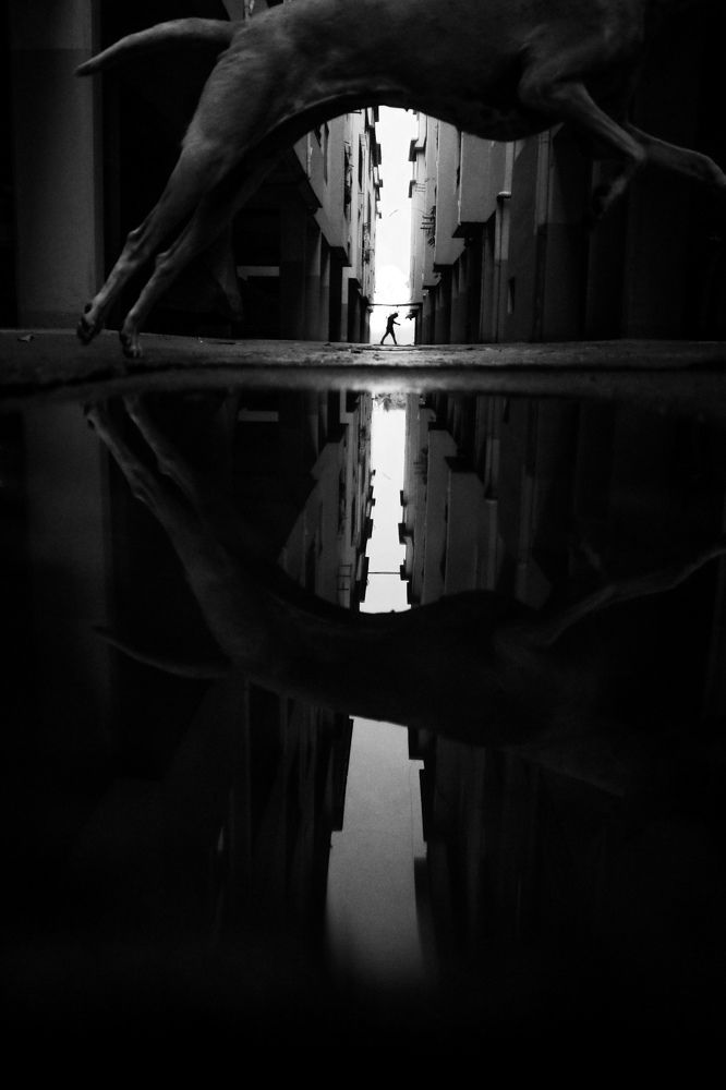 Photograph by Basudev chatterjee