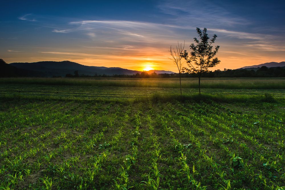 First's summer sunset