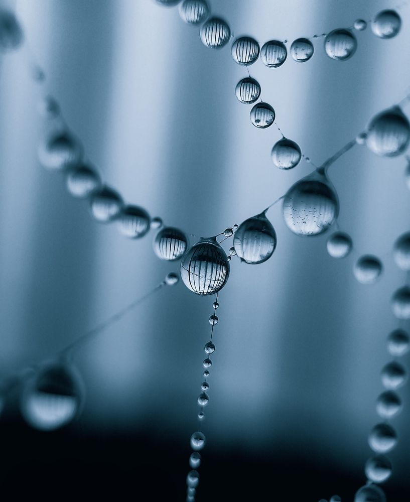 Macro photography with mobile