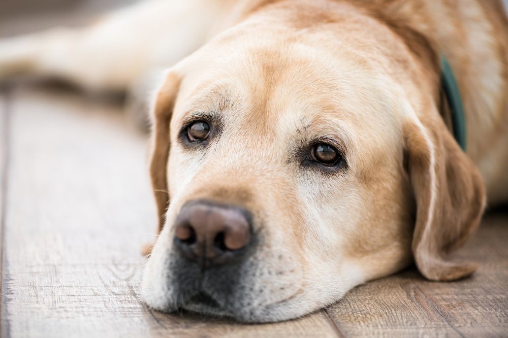 Photograph by Ольга Ильина