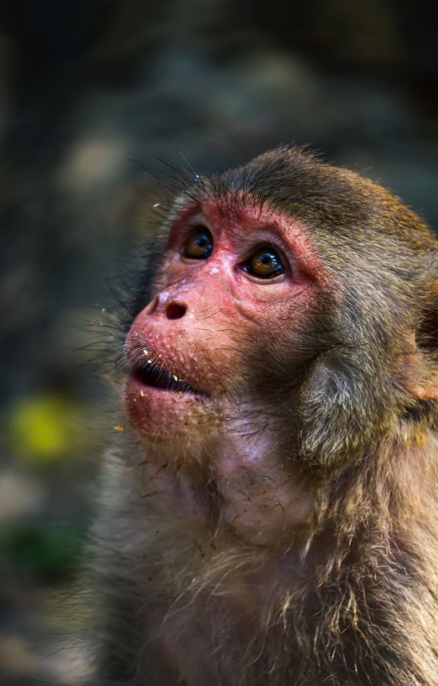 Photograph by Shaikh Abrar