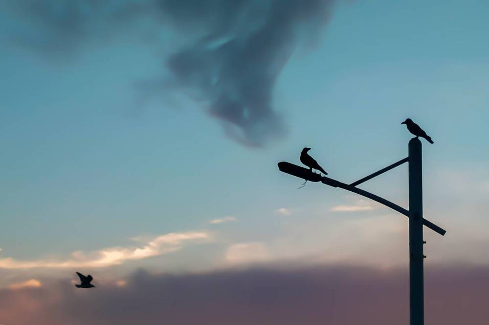 Photograph by Thway Naung Sitt