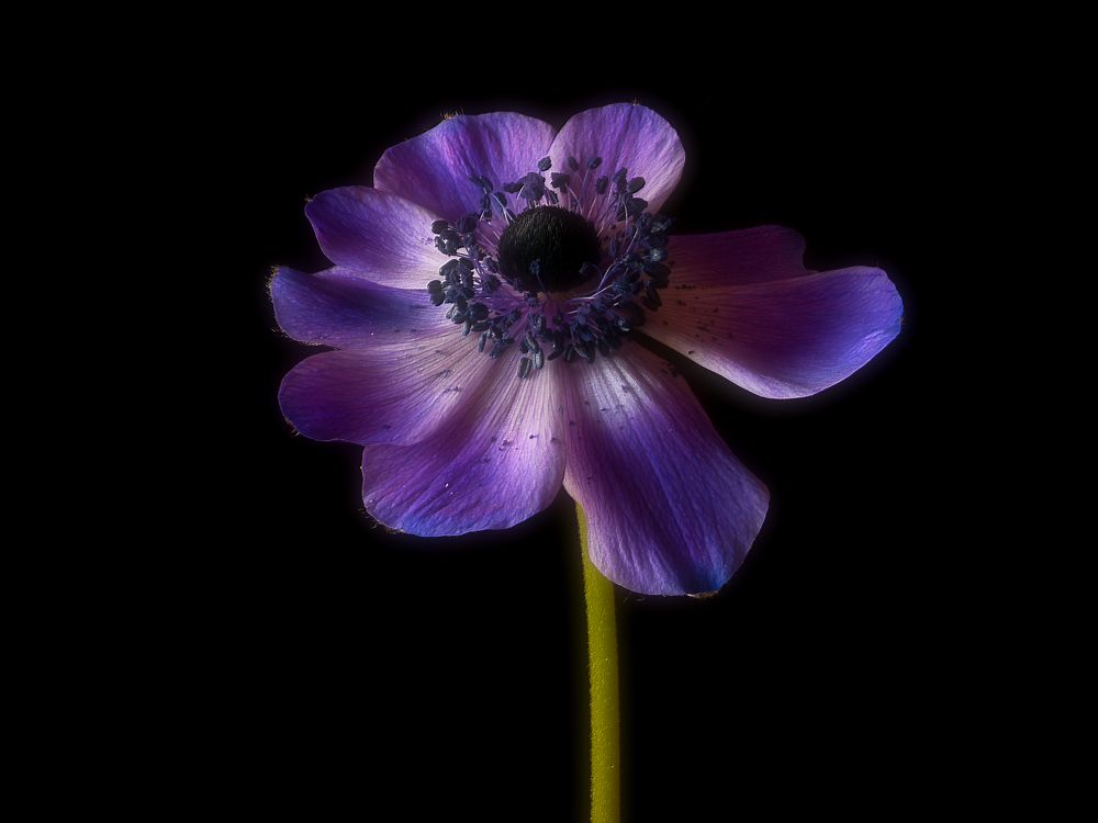 Photograph by Владимир Кваша