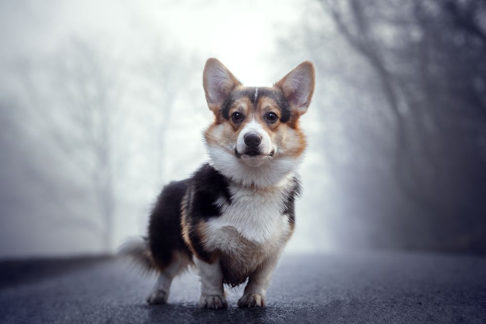 Photograph by Katarína Franková