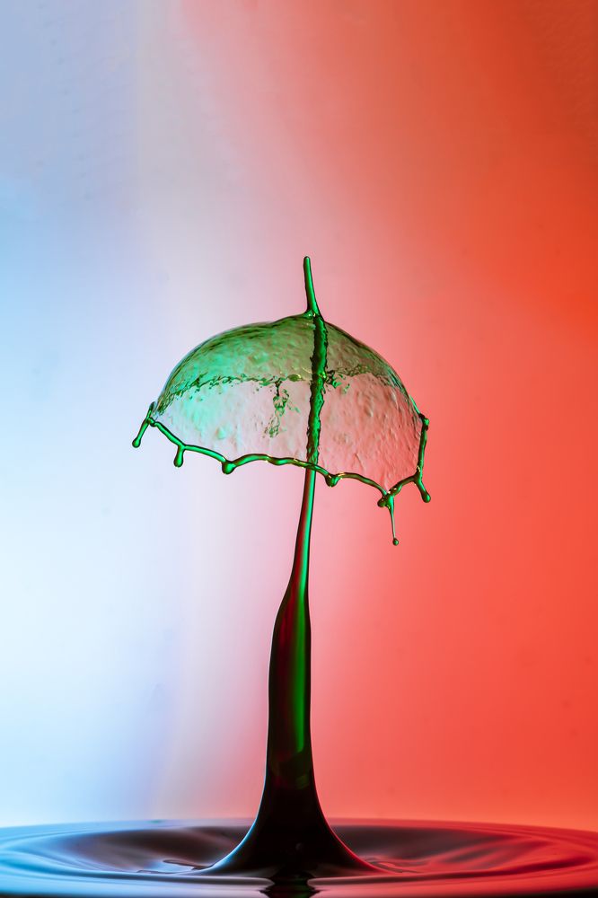 Фотография автора Bartosz