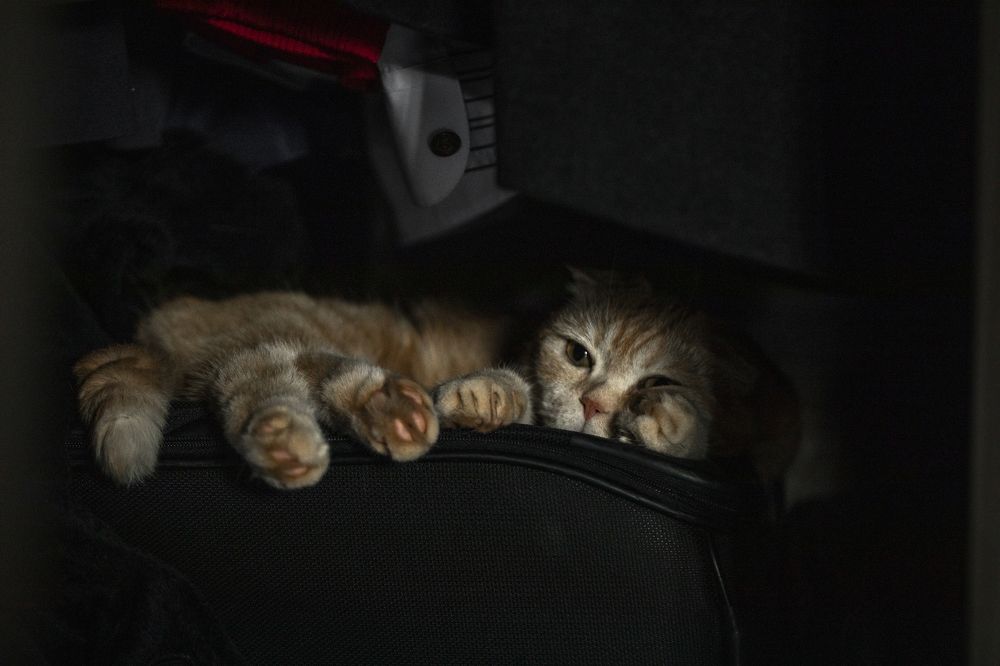 Photograph by Агарков Алексей