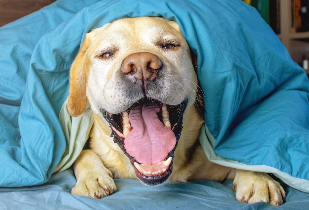 Photograph by Ольга Ильина