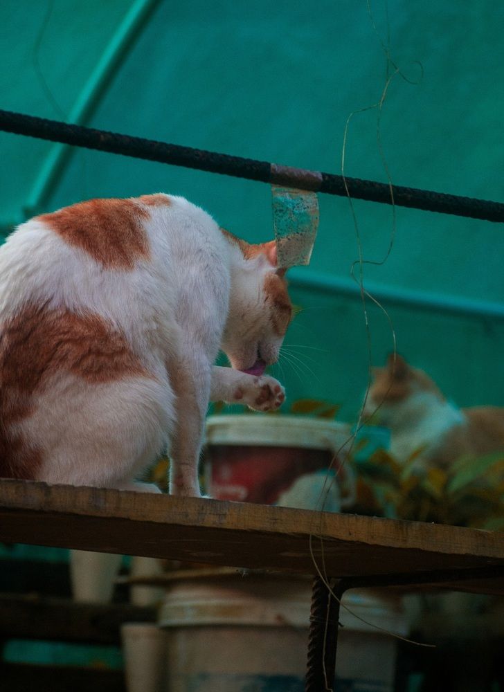 Photograph by Jared Clement