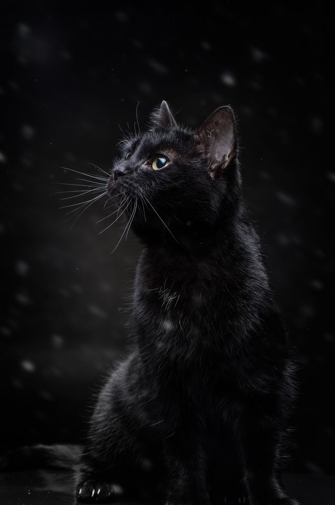 Photograph by Валерий Коновалов