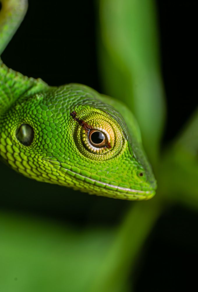 Фотография автора Kiran KV