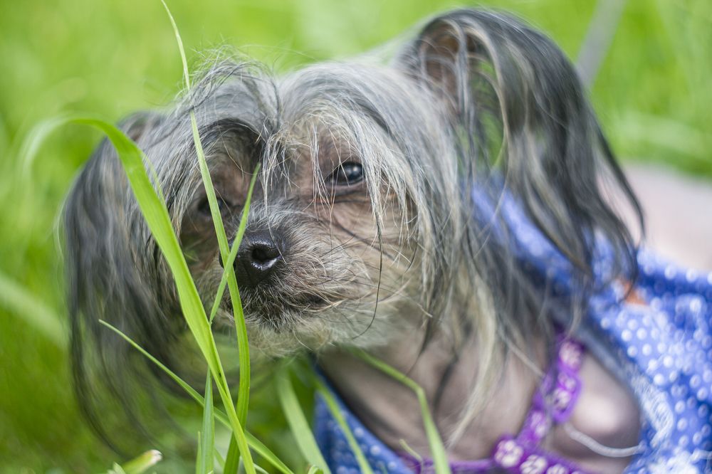 Photograph by Андрей Тарасюк