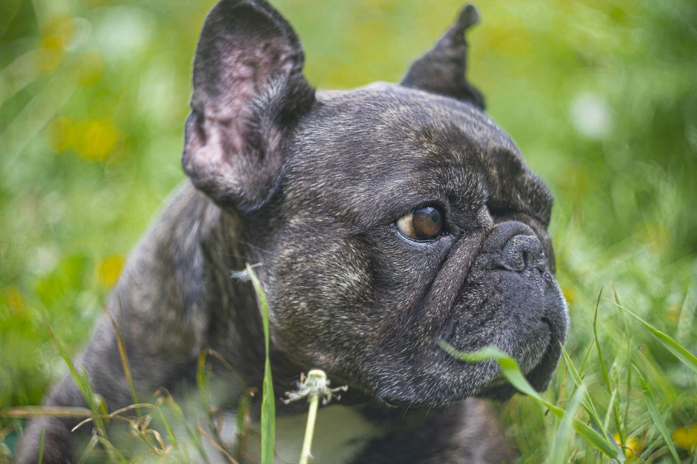 Photograph by Андрей Тарасюк