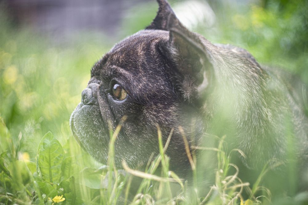 Photograph by Андрей Тарасюк