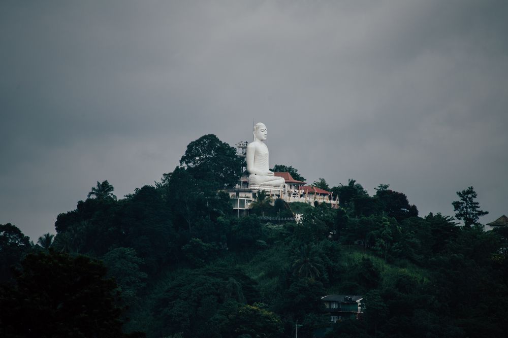 Photograph by Sumith Wickramasinghe