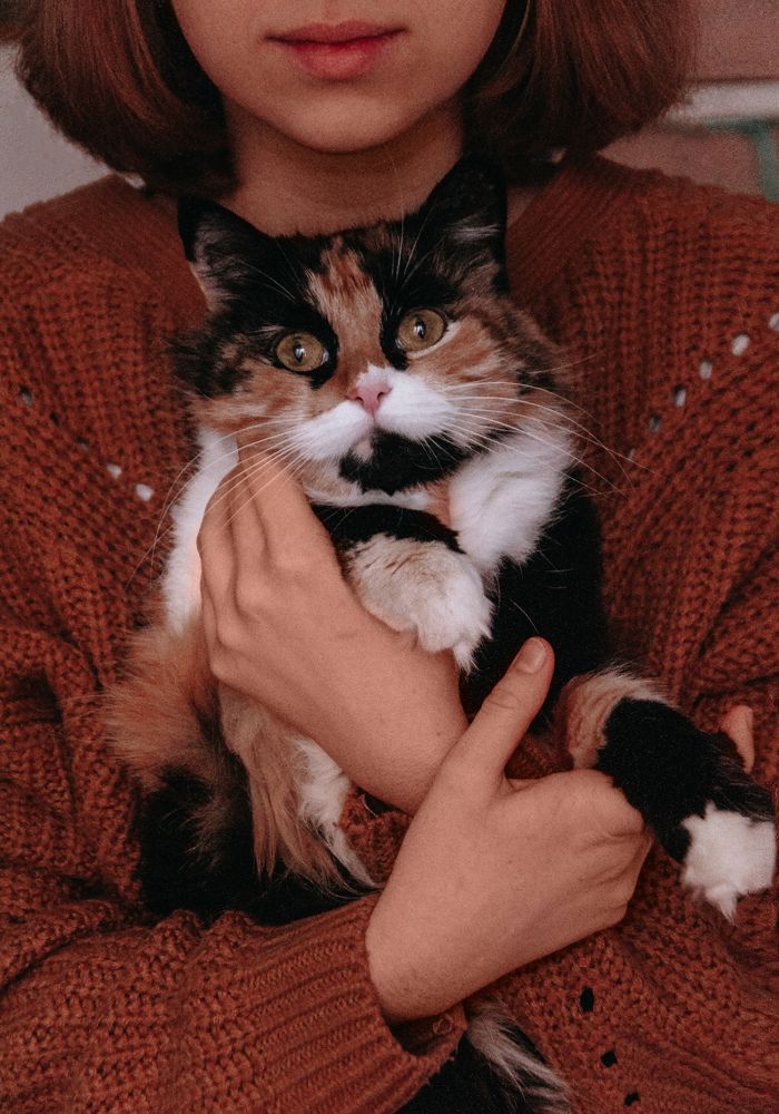 Кошка и хозяйка