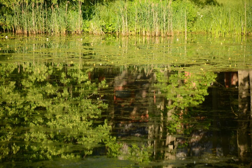 Photograph by Ilze Onzule