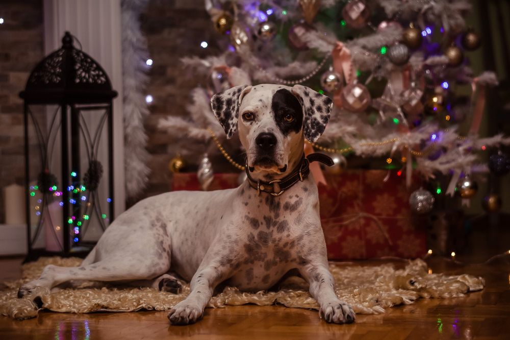 Photograph by Ирина Эрон