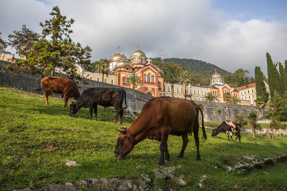 Фотография автора 