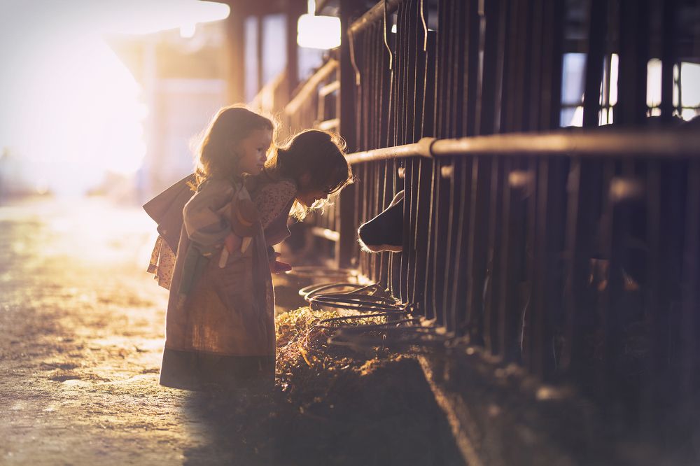 Photograph by talia chen