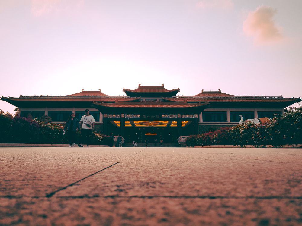 Photograph by Ron Joshua Robea