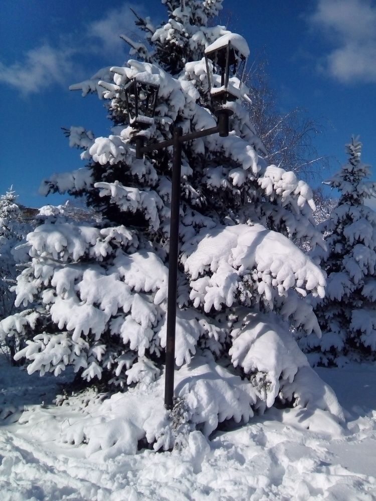 Photograph by Адамян Анна