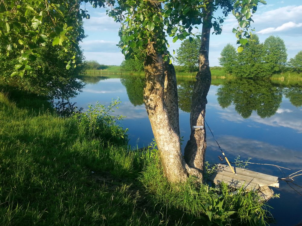 Утром на рыбалке