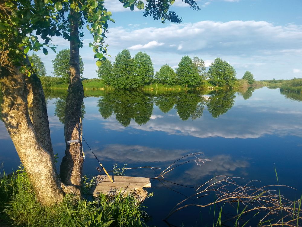 Утром на спининг