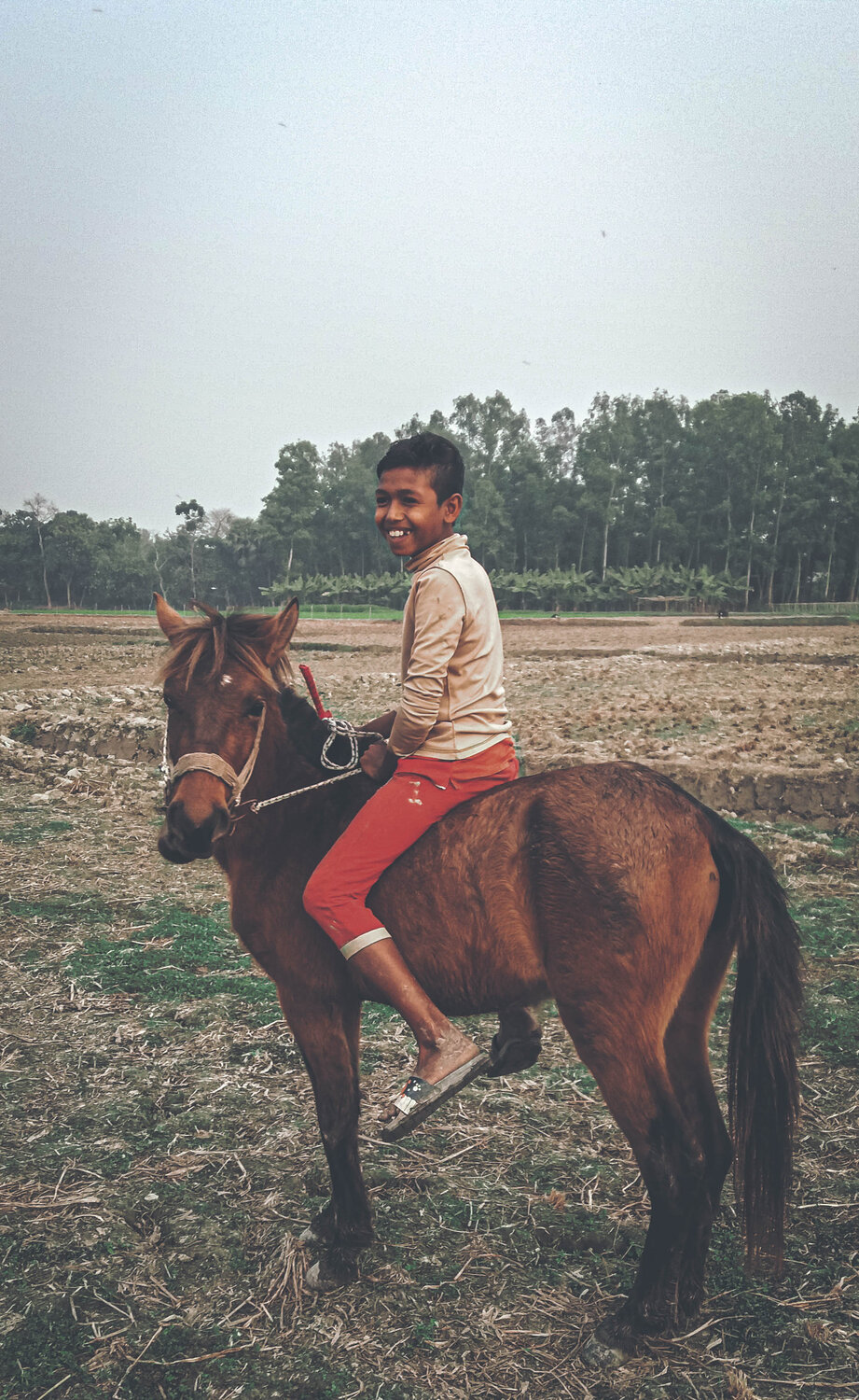 Photo #6193042